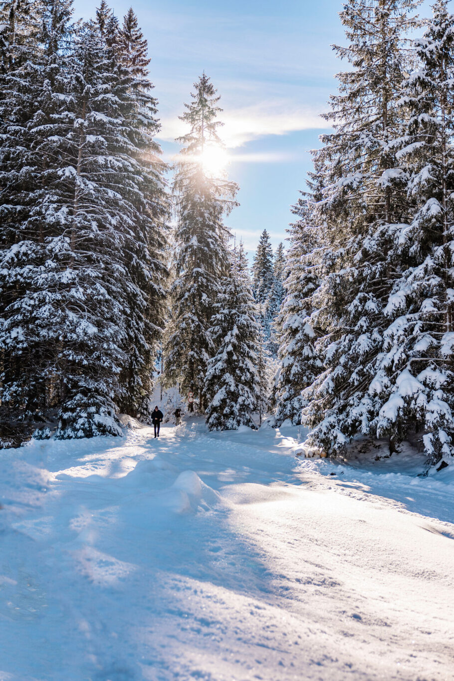 Winterspaziergang im Wald in der Nähe des Jungbrunn